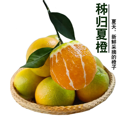 湖北秭归夏橙子酸甜多汁新鲜水果