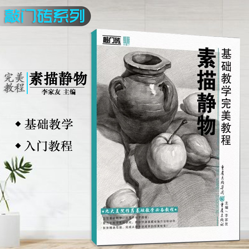 正版基础教学完美教程素描静物 敲门砖素描静物基础入门水果蔬菜陶瓷不锈钢塑料单体静物练习临摹范本联考校考美术