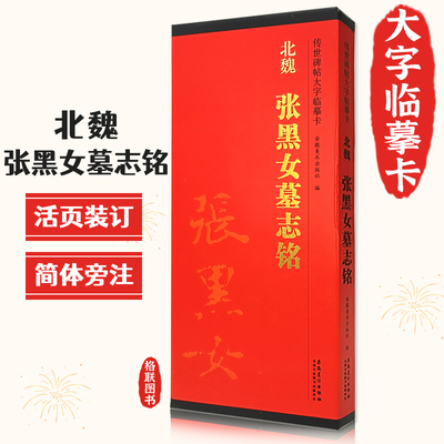 正版北魏张黑女墓志铭传世碑帖大字临摹卡北魏张玄楷书简体旁注原色原帖放大字卡毛笔书法字帖成人学生临摹范本安徽美术