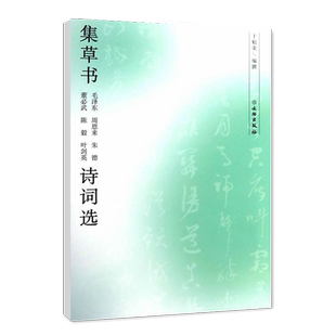 集草书毛泽东周恩来朱德董必武陈毅叶剑英诗词选近代名家毛笔草书书法字帖临摹范本书法爱好者收藏鉴赏书文物出版社