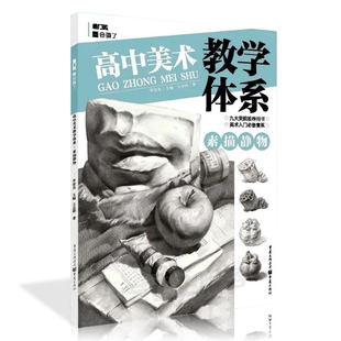 【满2件减2元】高中美术教学体系素描静物2020敲门砖王志彬基础入门单体组合步骤