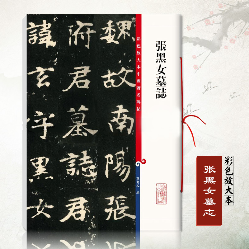 正版张黑女墓志彩色放大本中国碑帖孙宝文毛笔书法学生成人练字字帖篆刻孙宝文编基础实战临摹练习技能教程上海辞书
