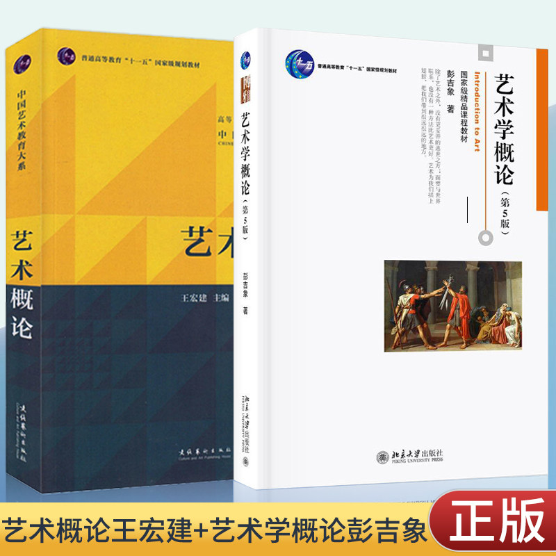 艺术学概论彭吉象 艺术概论王宏建北京大学出版/文化艺术出版中国传媒