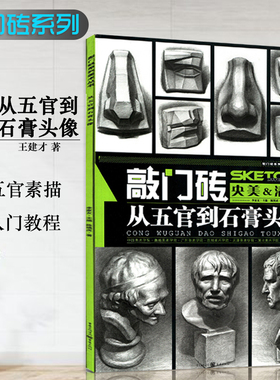 正版从五官到石膏头像素描书敲门砖系列美术素描五官素描石膏头像李家友王建才央美清华素描书入门基础教程素描自学
