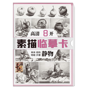 素描静物临摹卡8K卡片高清精微创意石膏画卡单体组合明暗结构步骤国美初级学照片作品自学零基础入门画册书美术绘画对照描摹练习卡