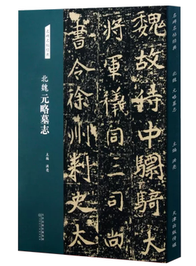 北魏 元略墓志 名碑名帖经典系列 楷书字帖毛笔书法练字临摹放大本 天津人民美术出版社 洪亮主编