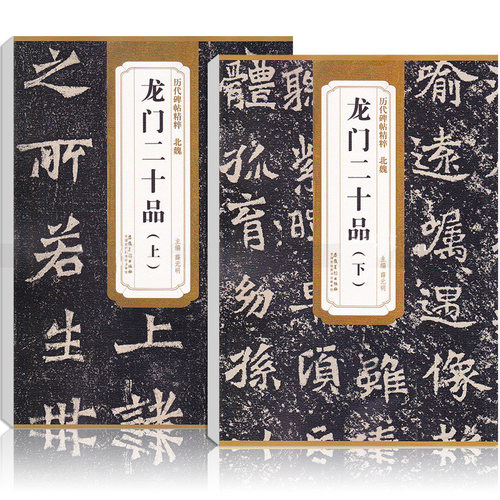 正版北魏龙门二十品 上下 历代碑帖精粹 薛元明编 附技法解析 临摹临习篆书的好范本艺术书法篆刻