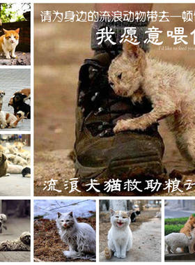5斤包邮 流浪犬投喂粮散装狗粮流浪狗狗粮救助粮狗粮特价粮500g