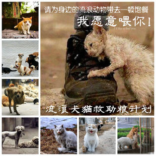 5斤包邮 流浪犬投喂粮散装狗粮流浪狗狗粮救助粮狗粮特价粮500g