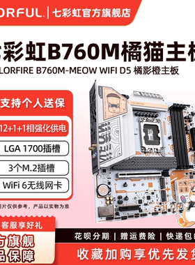 七彩虹B760/Z790电竞游戏主板D4/D5WIFI台式机电脑12代/13代/14代