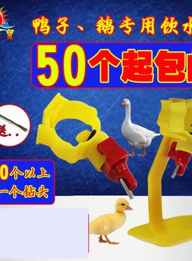 鸭子新款吊杯红色大碗一体家禽 鸭用自动水嘴 鹅用乳头钢球饮水器