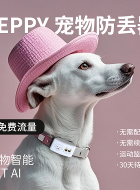 顺丰发货宠物智能项圈追踪器