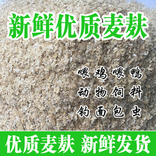 麦麸皮小麦麸粗细麦麸皮饲料钓鱼鸡鸭鹅动物饲料虫吃菌种专用包邮