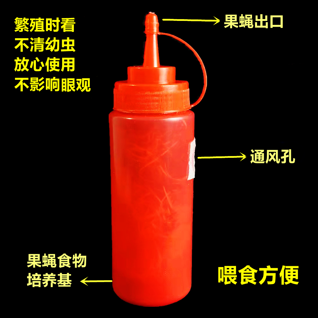 包邮果蝇杯无翅小果蝇杯螳螂跳蛛活体饲料果蝇活体残翅果杯200只 - 实物图