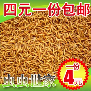 黄粉虫面包虫活体 活虫鲜活虫种虫 鸟食鱼食活体仓鼠乌龟饲料鱼饵