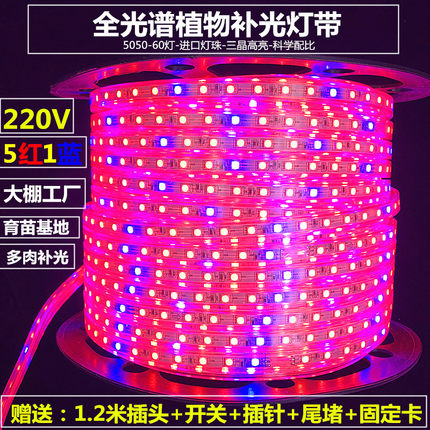 220V植物生长补光LED灯带条全光谱强补光大棚植物果蔬工厂防雨