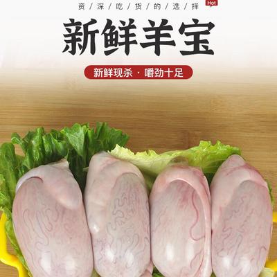 新鲜羊蛋现宰冷冻清真生羊宝羊睾丸内外腰羊腰子火锅烧烤烤串食材