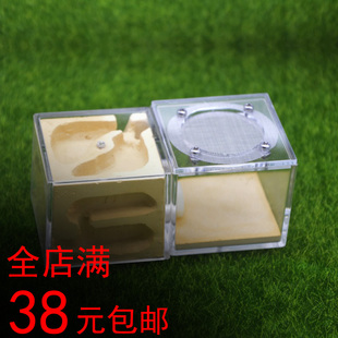 施王蚁馆  亚克力石膏巢立体蚁巢 繁殖饲养蚁巢 蚂蚁 家园  工坊