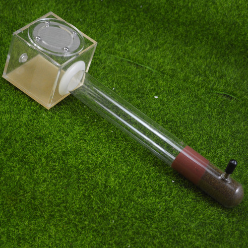 施王蚁馆 亚克力具支石膏试管巢  开口加水试管巢 30mm试管