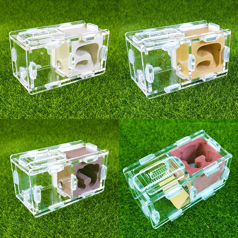 施王蚁馆 拼接0号 宠物蚂蚁新后亚克力石膏巢 城堡 工坊 包邮