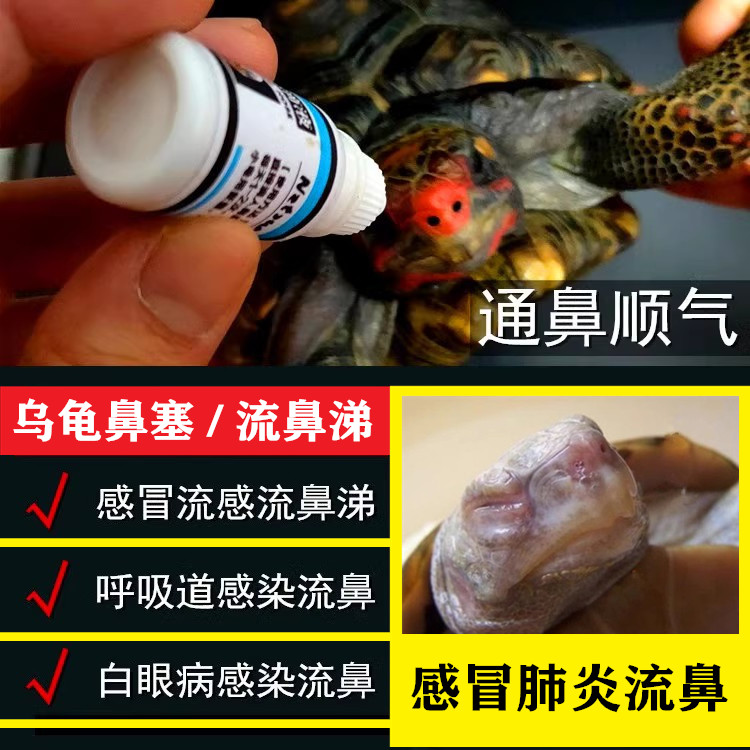 鼻塞爬虫抗鼻水滴剂陆龟感冒呼吸道流鼻涕堵鼻孔肺炎鼻孔不通气