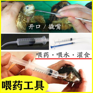 乌龟陆龟拒食喂药喂食灌药开口张嘴填食给药不吃东西爬宠营养液
