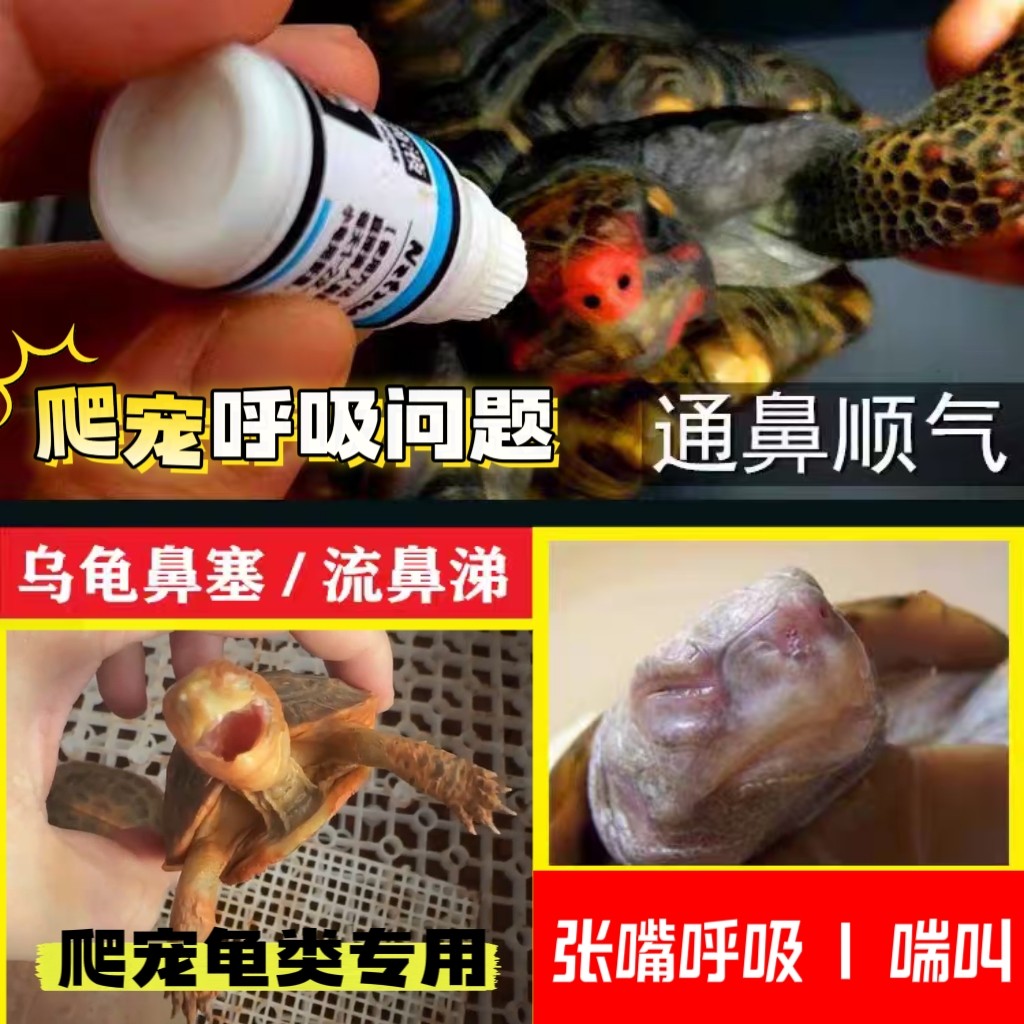 鼻塞爬虫抗鼻水滴剂陆龟感冒呼吸道流鼻涕堵鼻孔冒泡不通气流眼泪