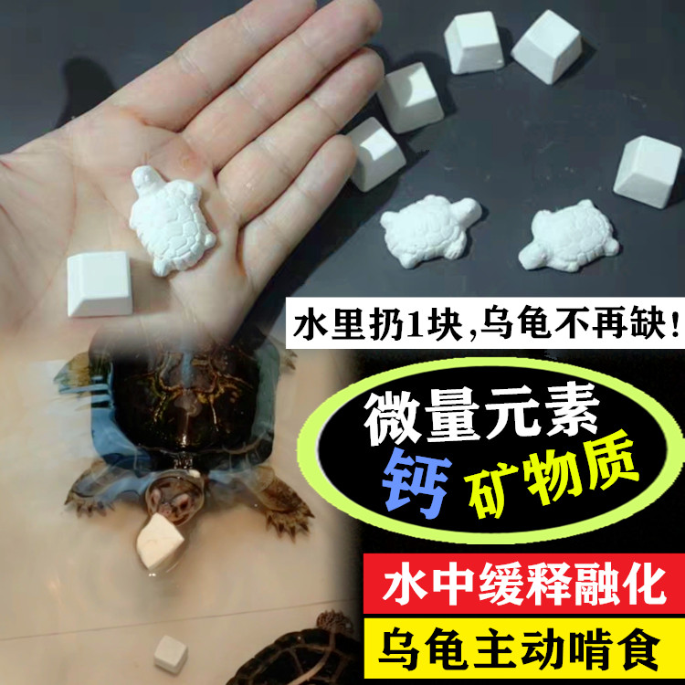 陆龟苏豹纹红腿赫曼黄缘乌龟补微爬虫/鸣虫医疗