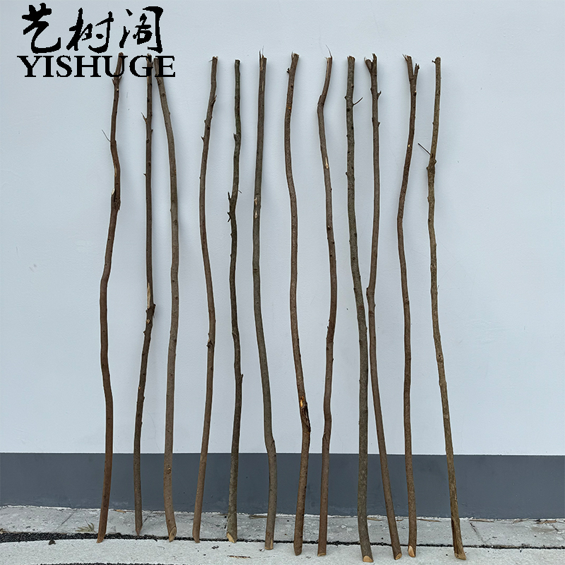 干树枝实木小木棍简单轻易艺树阁