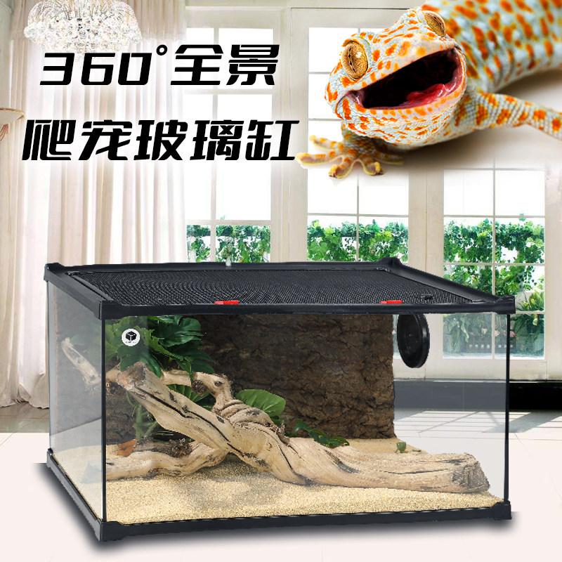 cm玻璃缸雨林爬宠守宫蜥角蛙龟缸图片