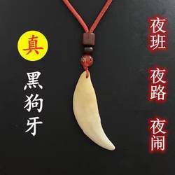 真黑狗牙狼牙吊坠男女平安身护符项链藏獒大狗牙齿婴儿随身挂件