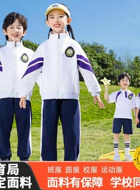 紫色校服套装小学生学院风儿童运动会班服幼儿园园服春秋装三件套
