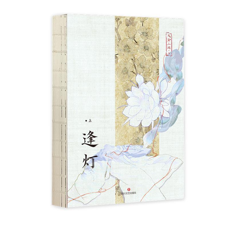 逢灯上 青春都市言情小说欠金三两晋江古言组年度佳作原名攻略病娇男配的正确方法小说书籍