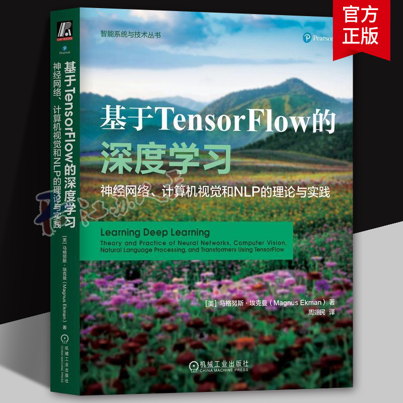 基于Tensorflow的深度学习 神经网络 计算机视觉和NLP的理论与实践 马格努斯 埃克曼 感知器 神经语言模型 机械工业出版社