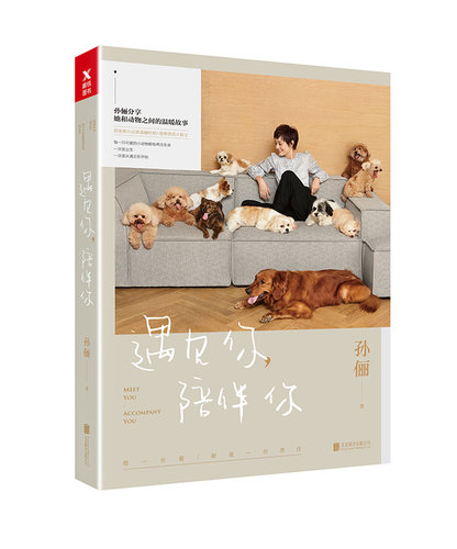正版包邮 遇见你陪伴你 孙俪2018新书 与dollar美元叔十年见证 走近那些流浪动物与有缘人相遇的故事 明星传记文集书籍磨铁ln