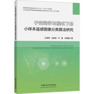 中国矿业大学出版 社有限责任公司 小样本遥感图像分类算法研究王雪琴9787564658021 子空间学下 工业技术书籍