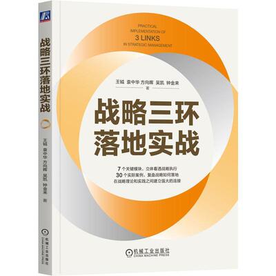 战略三环落地实战 王钺 袁中华 方向晖 战略理论实践企业战略执行 运营模式流程权责机制架构 机械工业社
