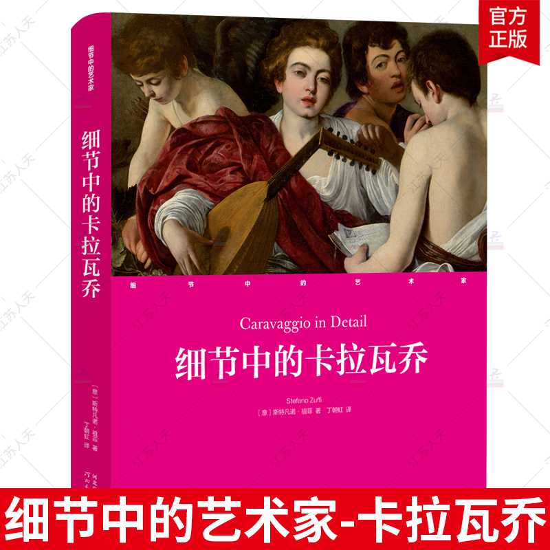 正版包邮 细节中的艺术家 细节中的卡拉瓦乔 斯特凡诺祖菲著 丁朝虹译 河北教育出版社 9787554563359