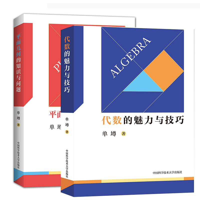 中科大初中数学代数的魅力与技巧+平面几何的知识与问题 单墫 初一初二初三初中数学解题规律方法与技巧789年级2021中考数学必刷题