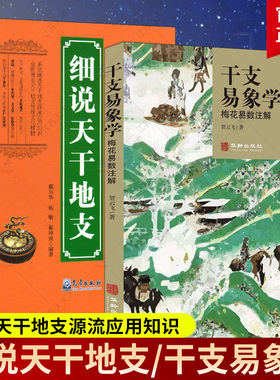 正版包邮 细说天干地支+干支易象学 梅花易数注解 天文学书籍 阐述天干地支源流应用知识 展示天干地支传统文化 梅花易数书籍
