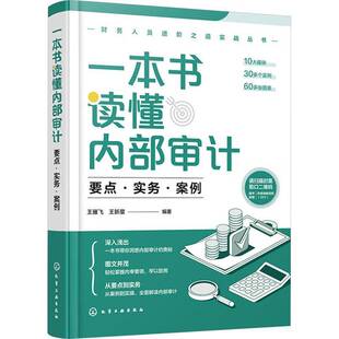 一本书读懂内部审计:要点·实务·案例王雁飞9787122459152 化学工业出版社 经济书籍