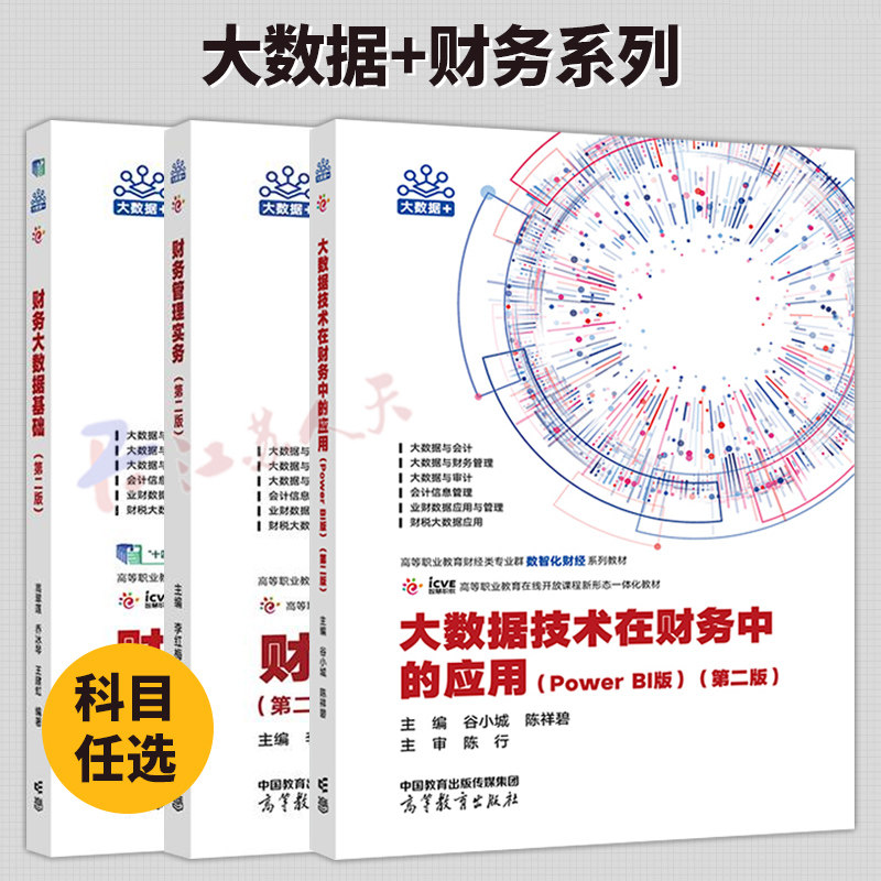 3册 大数据技术在财务中的应用 Power BI版+财务大数据基础+财务管理实务 第二版 财经类专业数智化财经系列教材书籍 高等教育出版