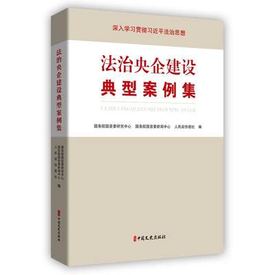 法治央企建设典型案例集国资委研究中心  法律书籍