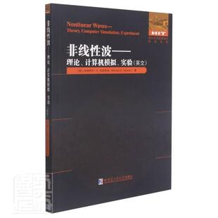 实验 theory computer 非线波 experiment 计算机模拟 simulation 米哈伊尔·托多罗夫本科及以上非线波英文自然科学书籍 理论