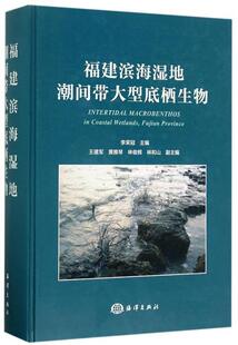 福建滨海湿地潮间带大型底栖生物李荣冠 潮间带海洋底栖生物研究福建自然科学书籍