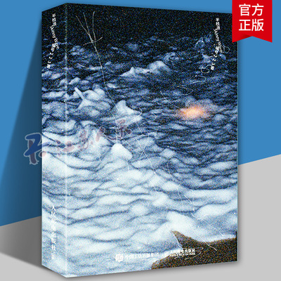 半枝浪 编号223摄影作品集 编号223摄影集画册个人摄影图集光影构图影像艺术充满私密叙事与诗意碎片的摄影集 人民邮电出版社
