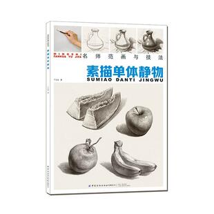 素描单体静物丁立龙 艺术书籍