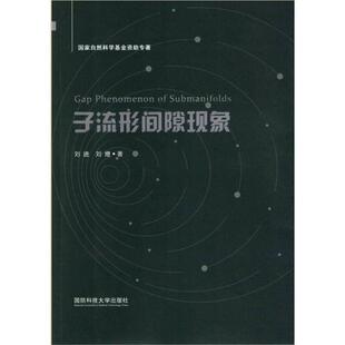 子流形间隙现象刘进普通大众子流形研究自然科学书籍