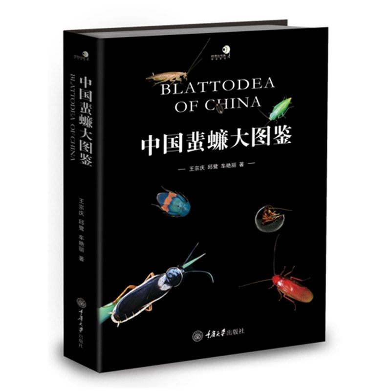 中国蜚蠊大图鉴 古老的昆虫 蟑螂和白蚁 国内第y本系统介绍我国蜚蠊目昆虫的彩色大图鉴收录蜚蠊目 7科65属310种 重庆大学出版社