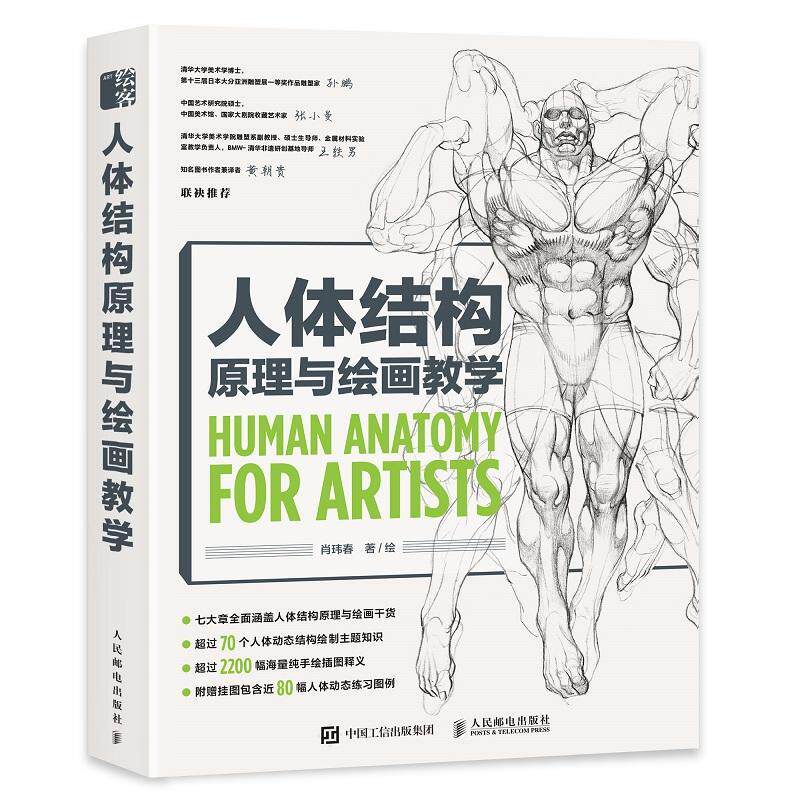人体结构原理与绘画教学肖玮春绘9787115566898 人民邮电出版社人体结构漫画绘画技法艺术书籍